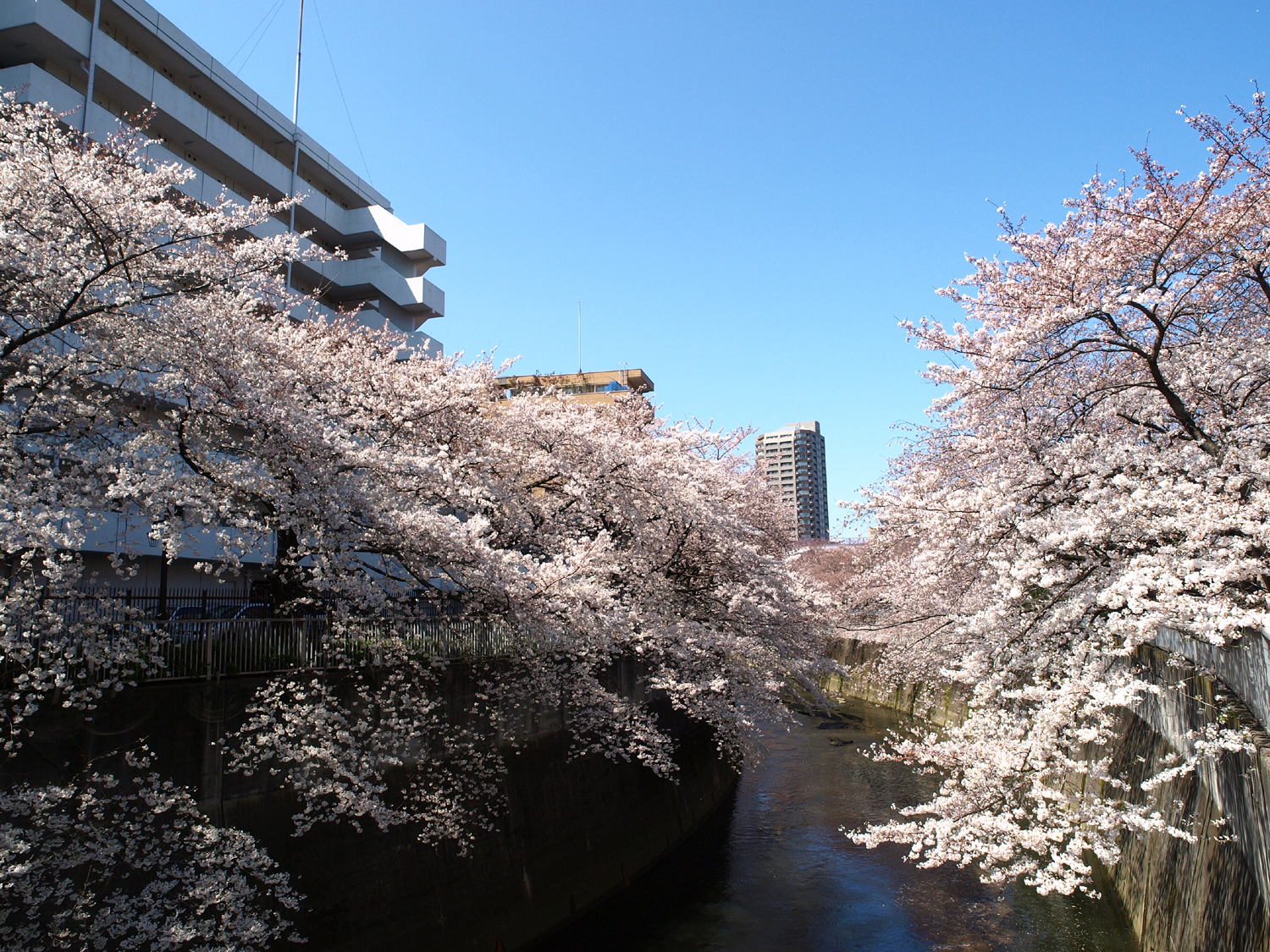 江戸川橋駅周辺