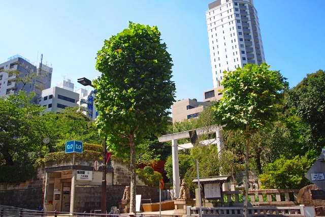 乃木坂駅周辺のマンスリーマンション物件一覧トップ画像